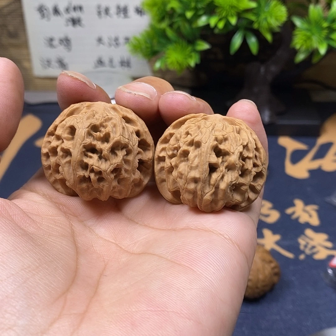 核桃40尺全品无修苹果园，26号
