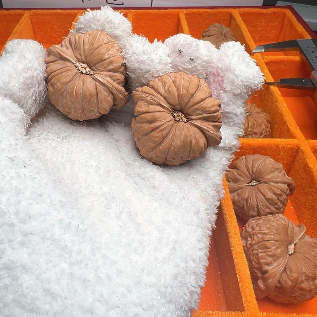 韩*41 南瓜 韩寒 文玩核桃