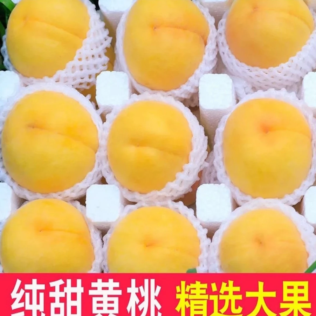 【黄桃】纯甜大黄桃新鲜水果锦绣爆甜黄毛脆软正宗黄金蜜桃