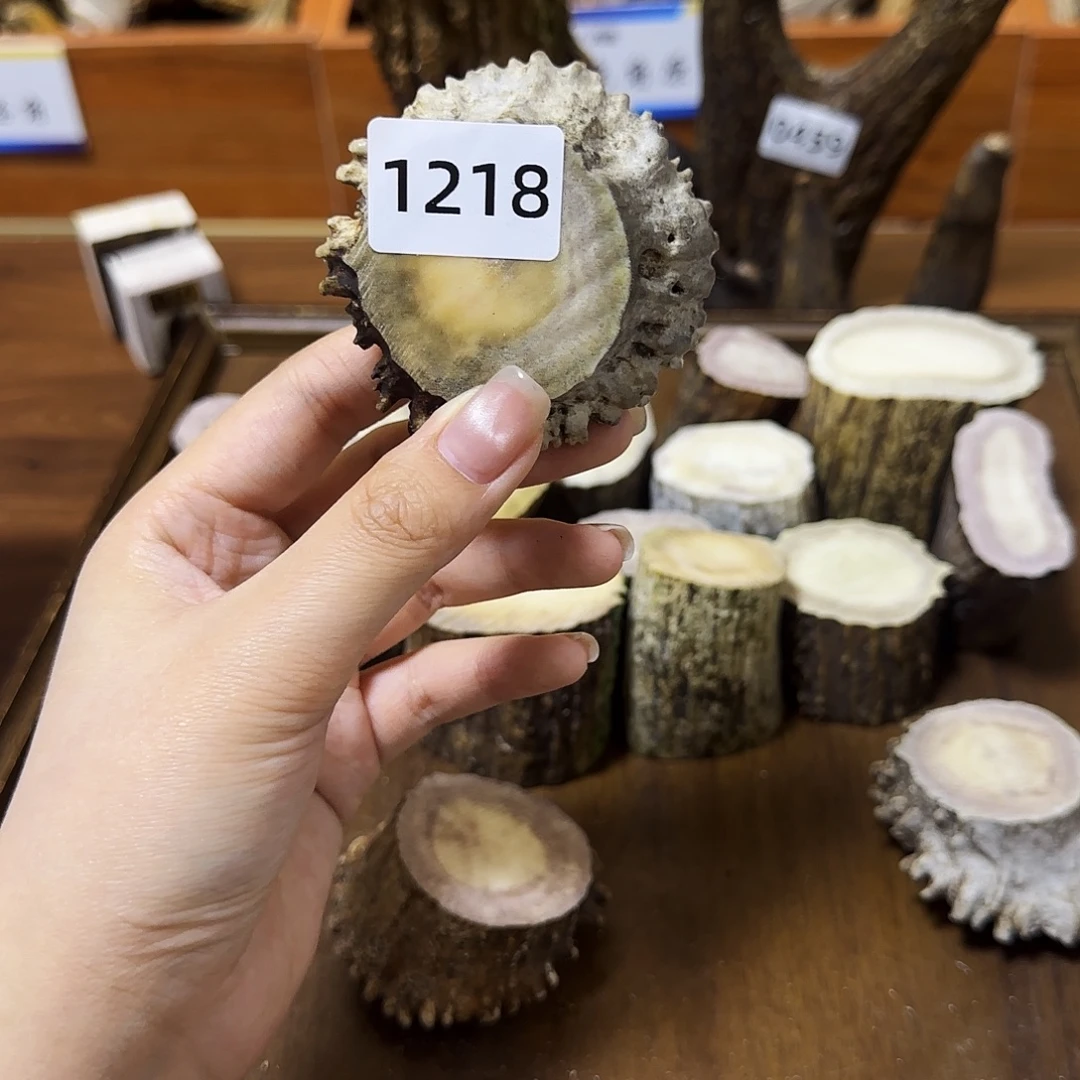 手串/手链鹿骨1218角帽