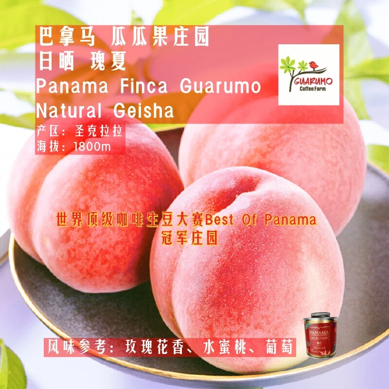 <瓜瓜果庄园>巴拿马,瓜瓜果庄园,日晒瑰夏,精品咖啡豆