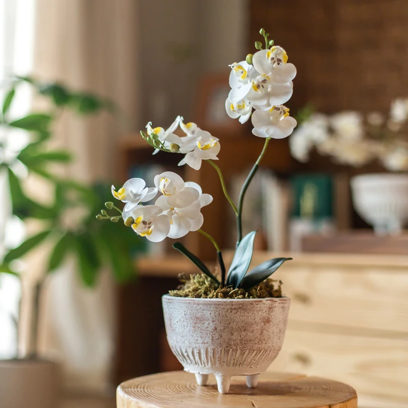 蝴蝶兰复古白色粗陶花盆多肉植物绿植草花盆栽花盆器家用陶土无孔