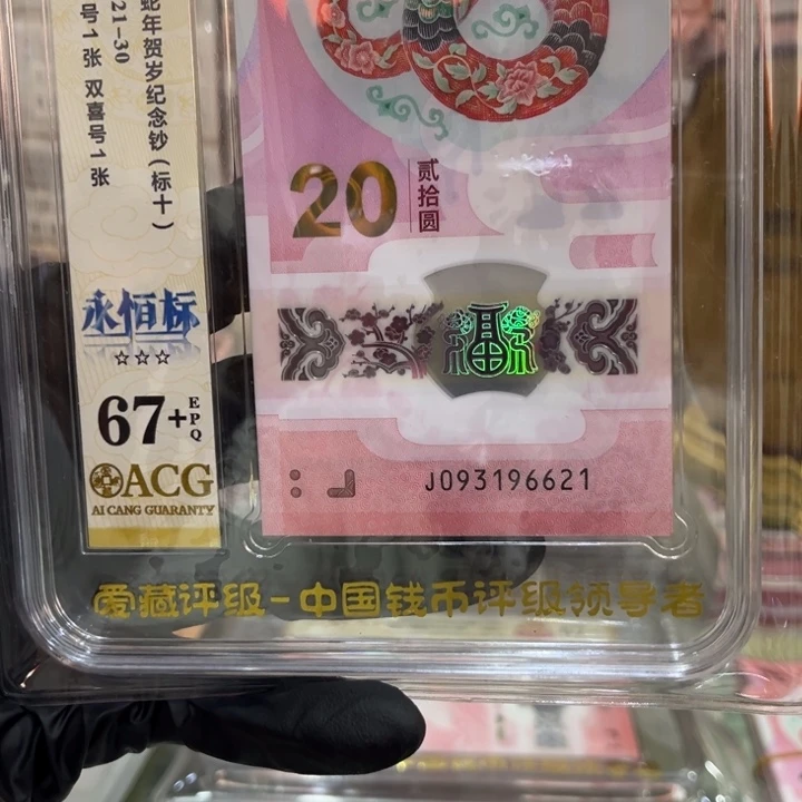 塑料蛇钞67+满号年份号标十093196621