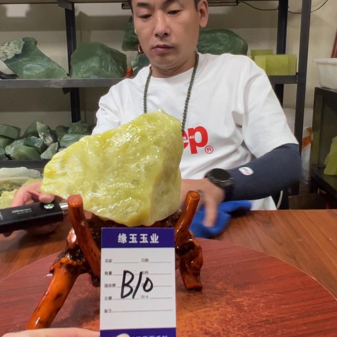 蛇纹石玉未镶嵌原石B10