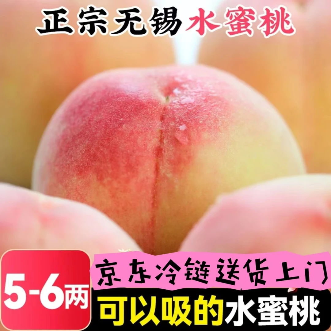 【5-6两】左右拍1箱送1箱到手2箱12颗正宗无锡水蜜桃鲜甜水果多汁