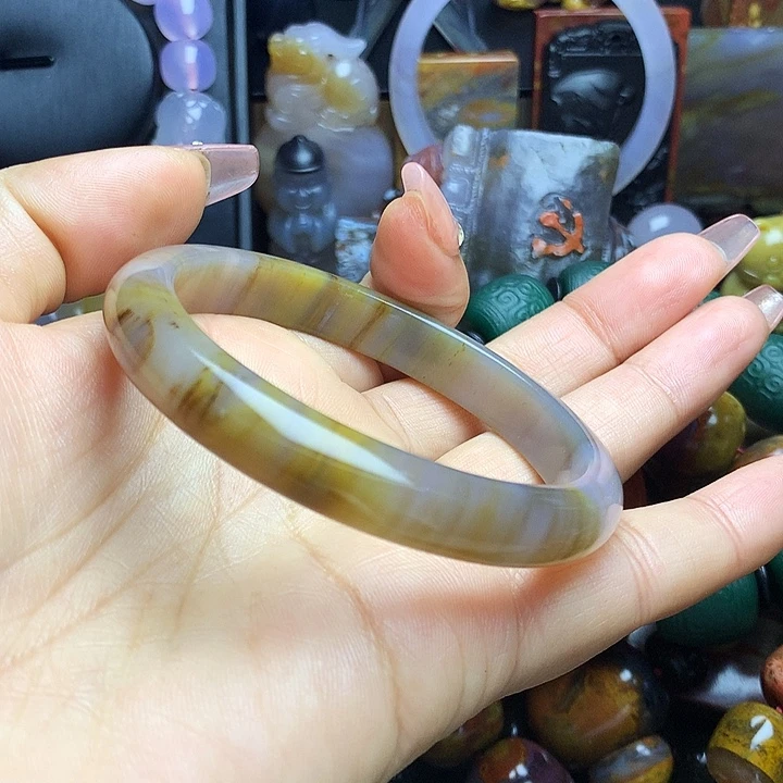 硅化玉未镶嵌手镯树化玉手镯