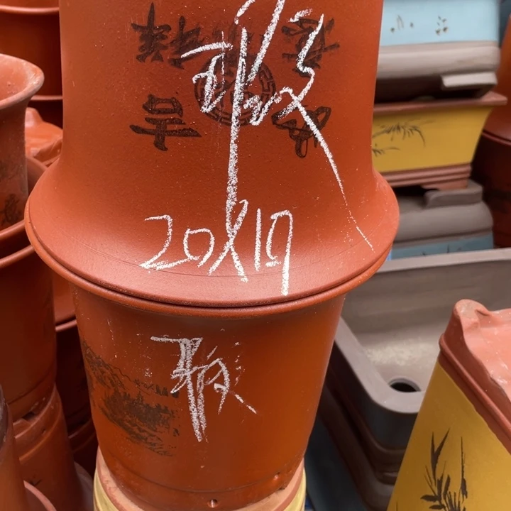 周深周深周深周深