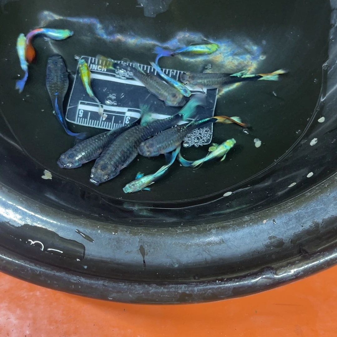 海水14号哈哈哈哈哈哈