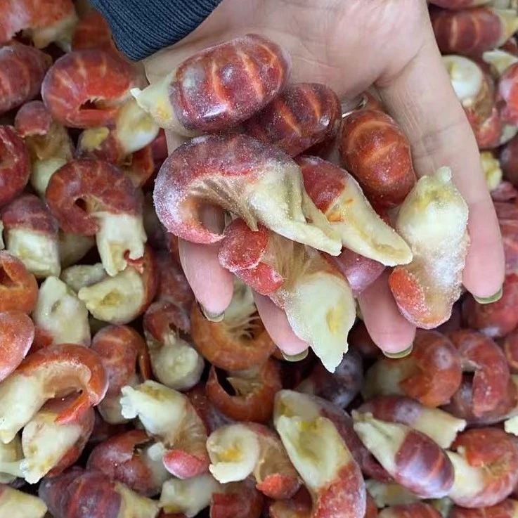 特大干冰龙虾尾一斤