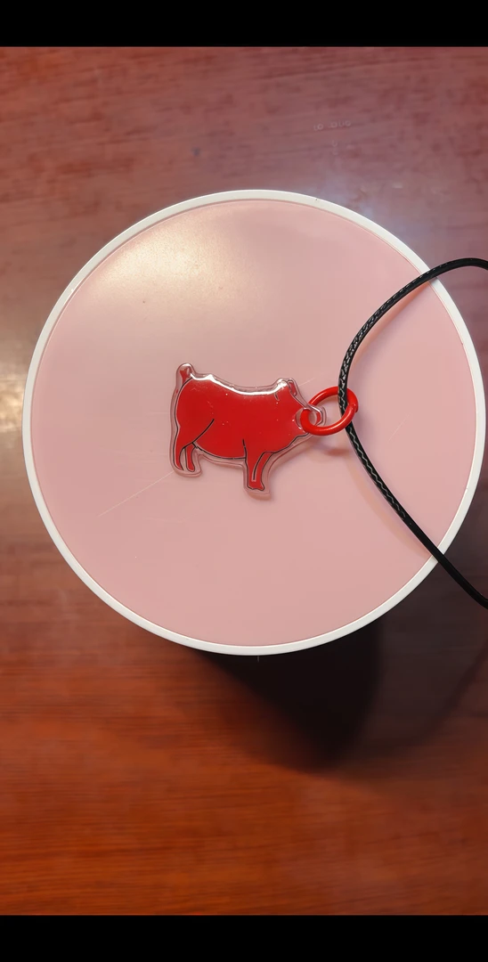 非金属皮质项链 手工热缩片锁骨链