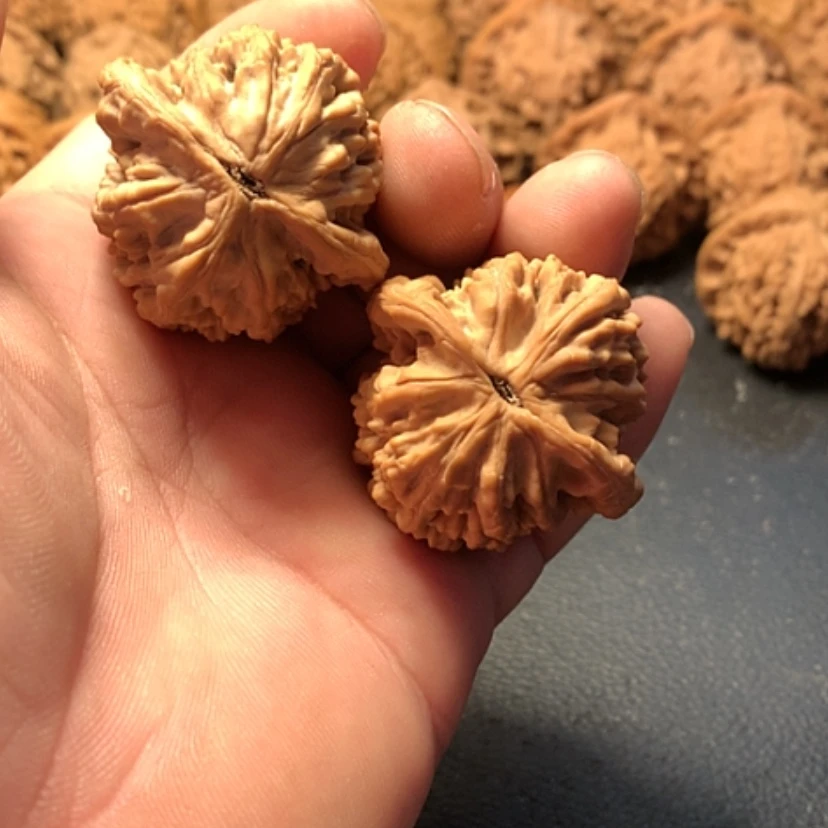 【闪购商品】把件文玩核桃鲨****菜虎头