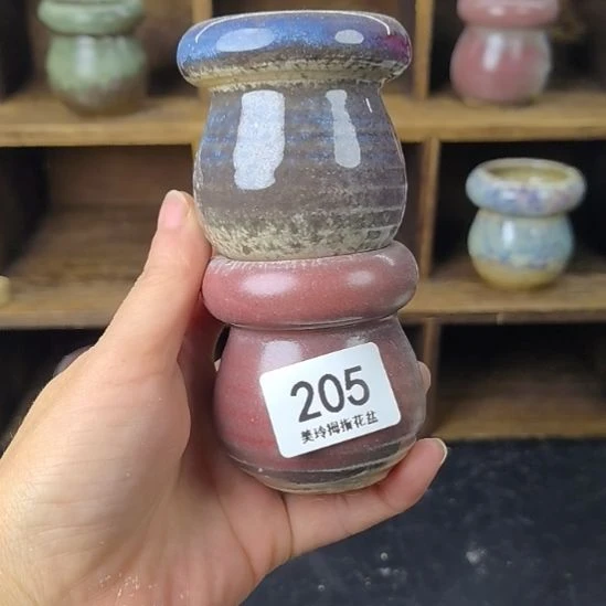美玲多肉拇指花盆205