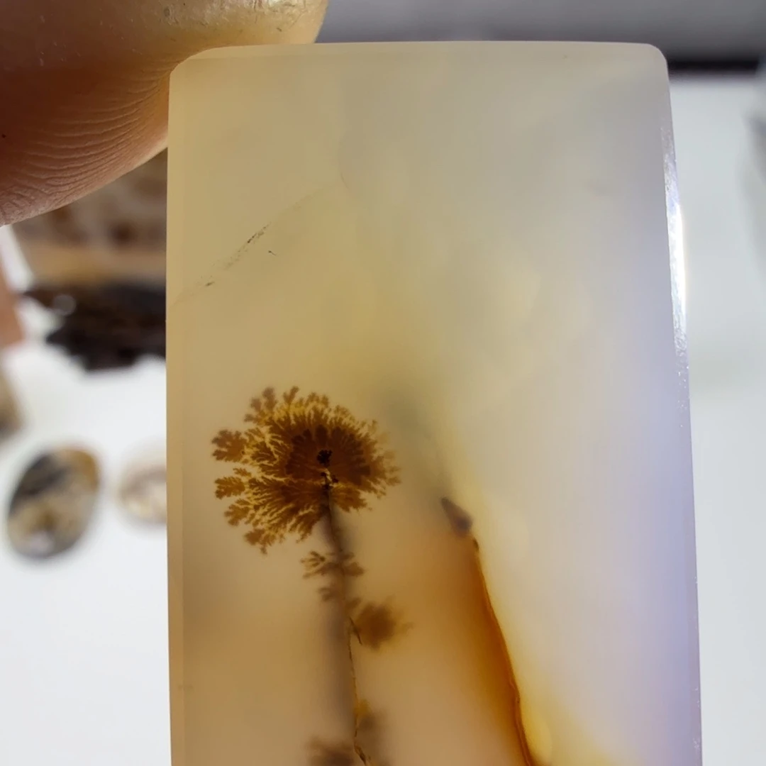 玛瑙/玉髓未镶嵌珠宝半成品