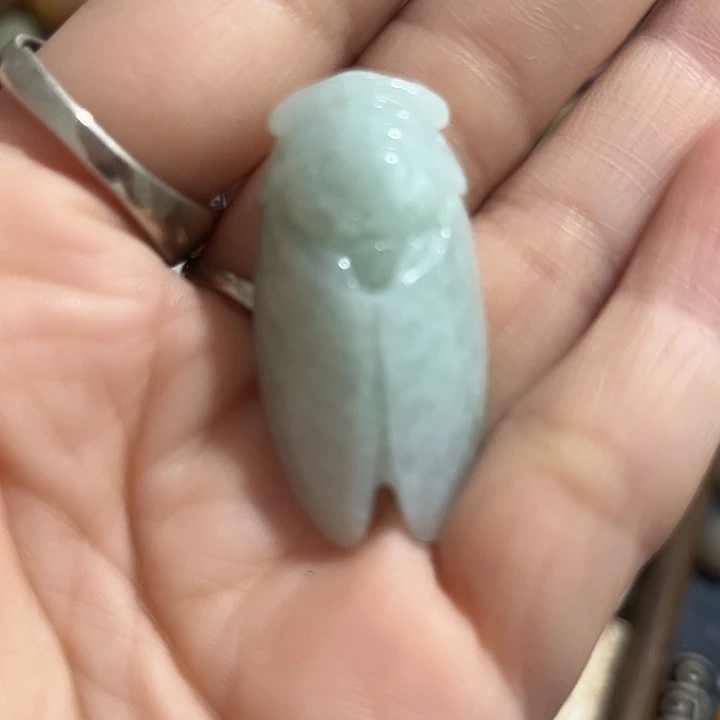 黄杨木感谢支持合作愉快