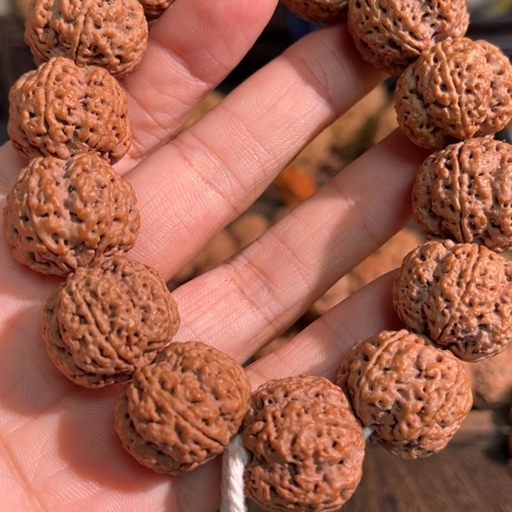 哲***人金刚菩提手串梅花