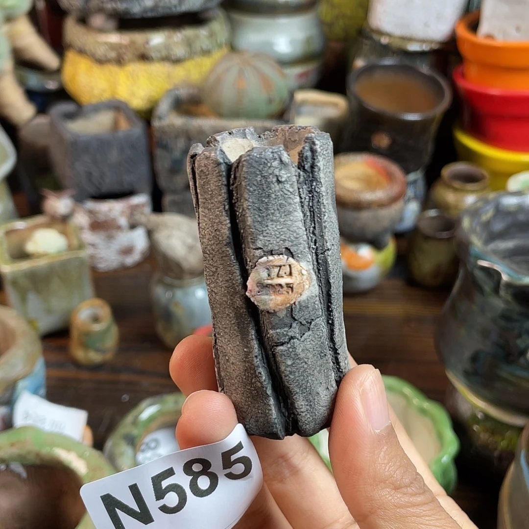 坛子姐花盆！双十二限时活动！默认微次 ！