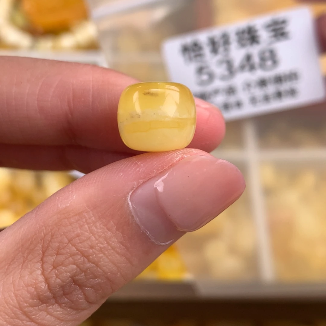 蜜蜡未镶嵌珠宝奇石12植物