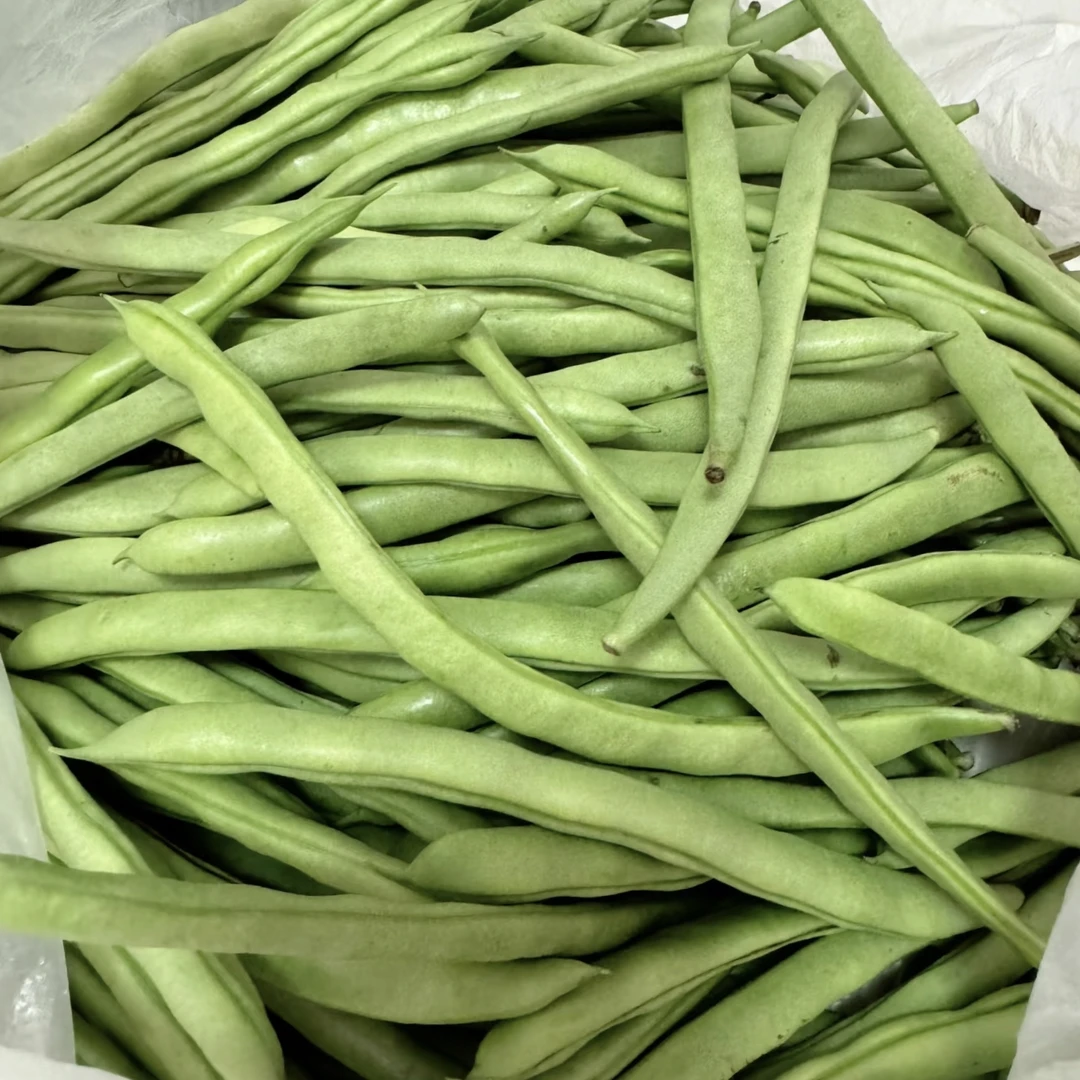 广西桂林本地长豆角