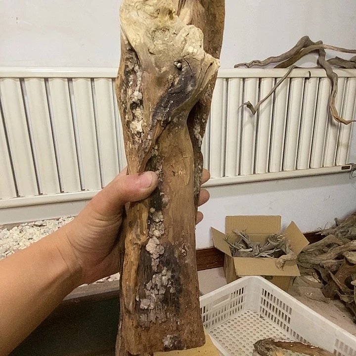 重***始柏木崖柏根雕天然艺术