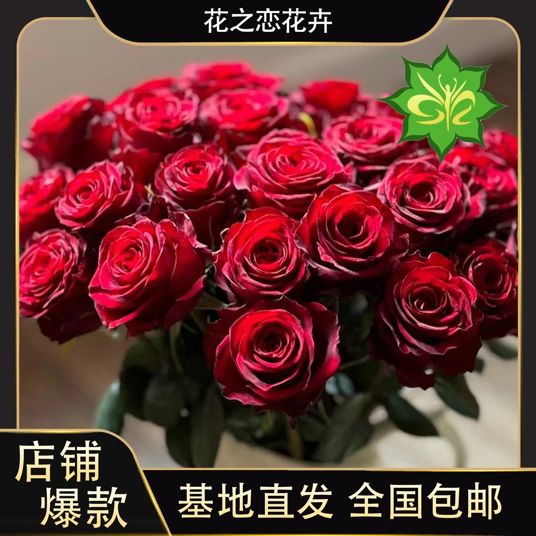 红色玫瑰花    居家办公优选《东北基地发货》