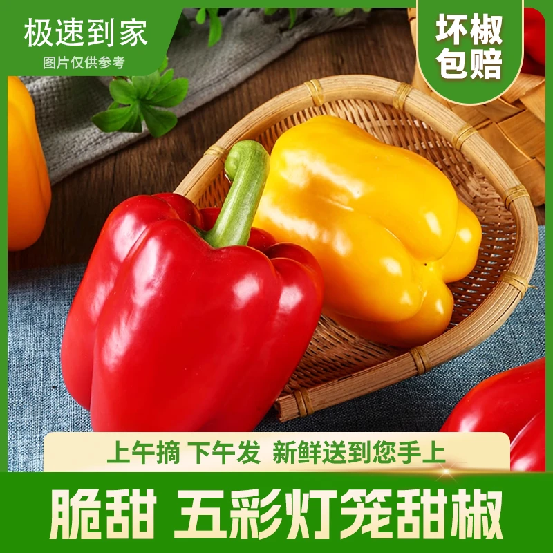 【京东】山东寿光新鲜水果彩椒3斤5斤装红黄甜椒灯笼椒生吃不辣蔬菜