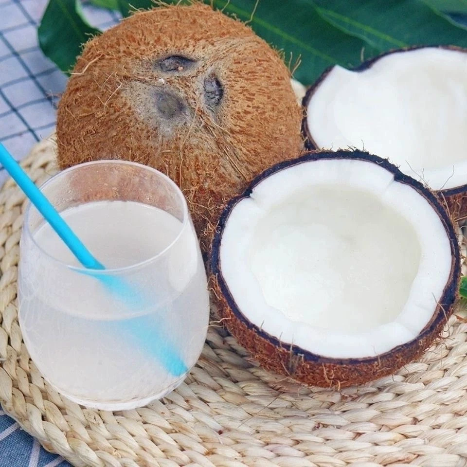 海南新鲜老椰子新鲜肉厚香醇可煲汤榨椰奶的孕妇水果榨汁毛椰子