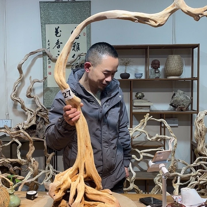 倚***雨木杜鹃根天然根艺4