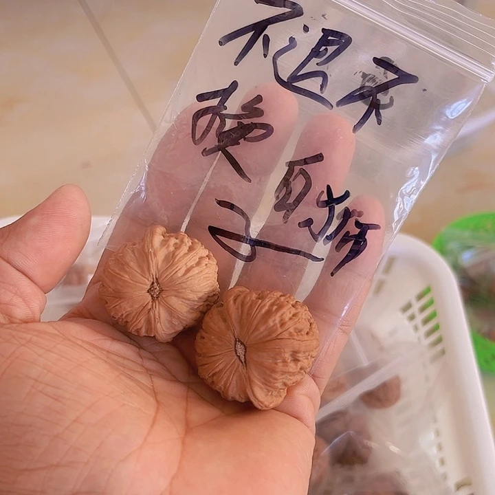 旺*白狮子不退不换