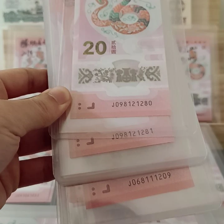 新****发蛇钞朦胧号裸票绝品10张