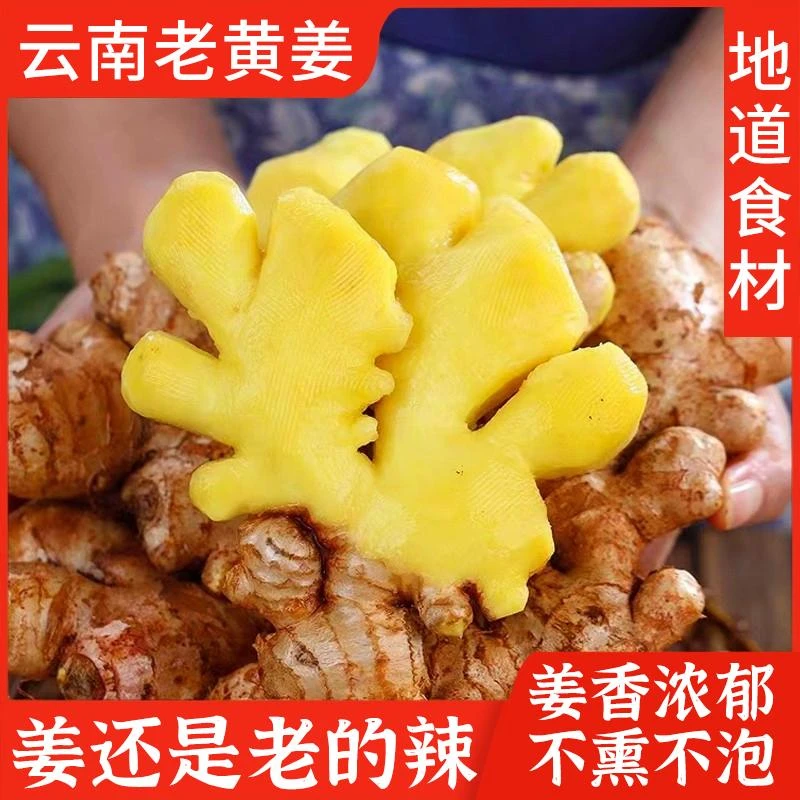 云南小黄姜老姜山区现挖生姜农家新鲜土姜月子姜食用9/5/3斤调料