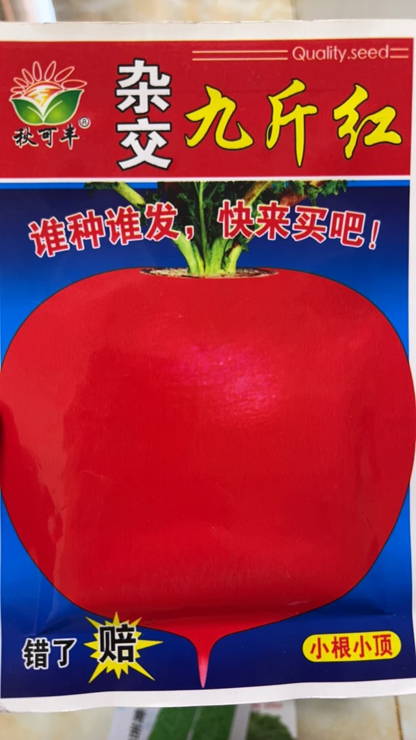九斤红萝卜