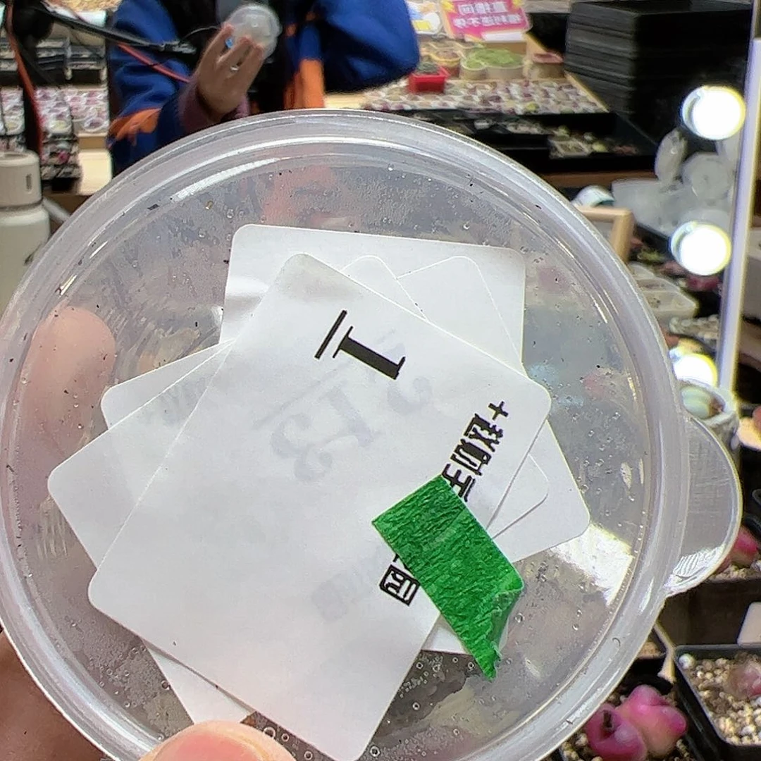 【闪购商品】?****！1 +补发