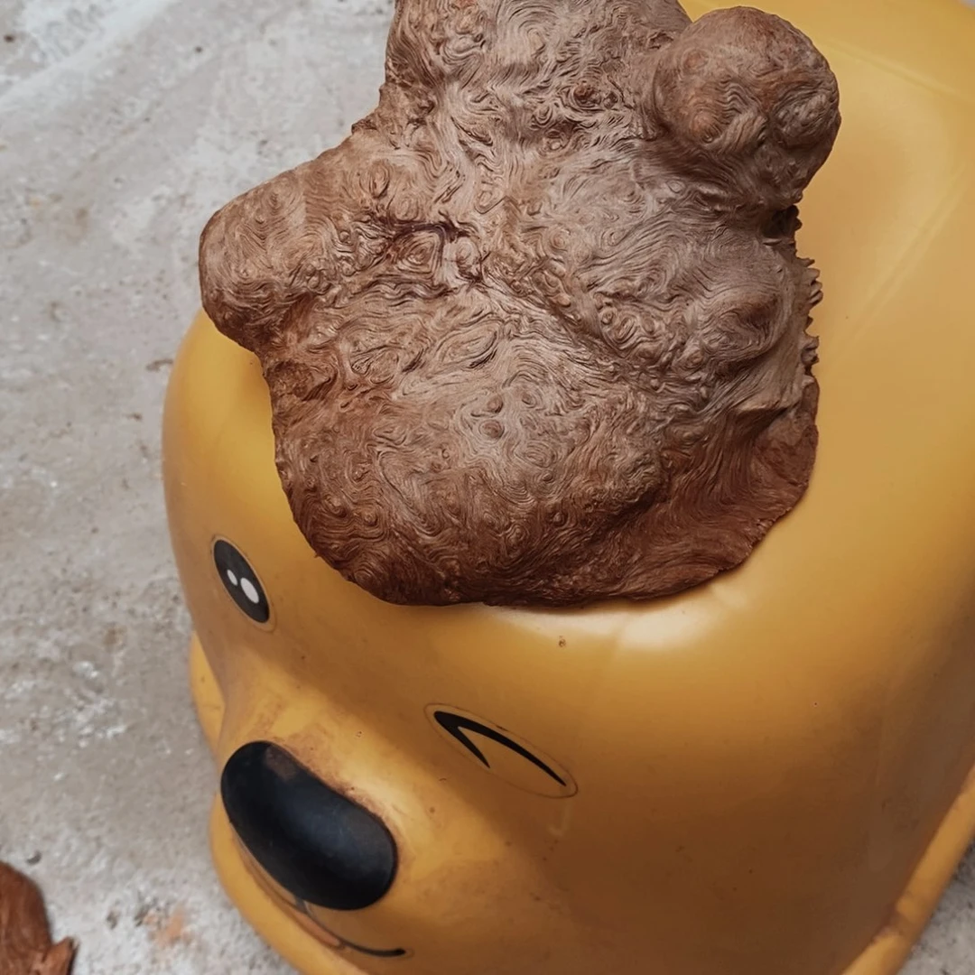 荔枝木罗****）随形香炉木材