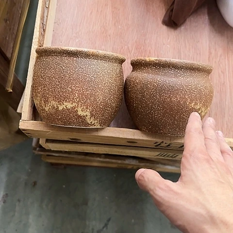 ···2个处理······