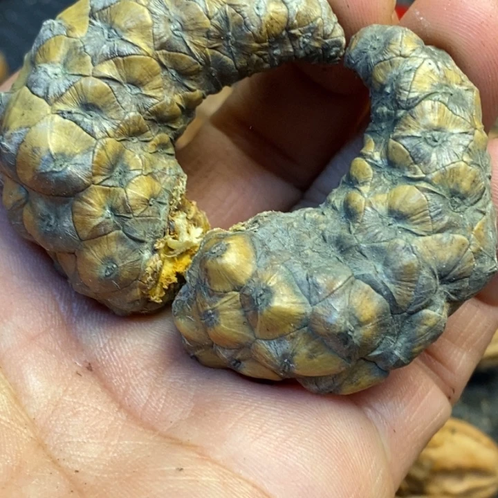 吊坠文玩核桃娜姐110