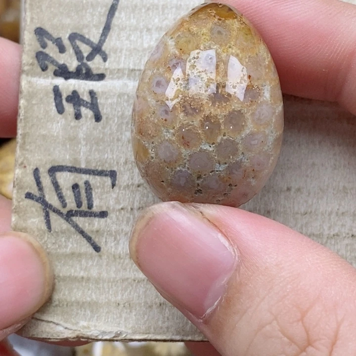 硅化珊瑚（珊瑚玉）未镶嵌颈饰柒****y