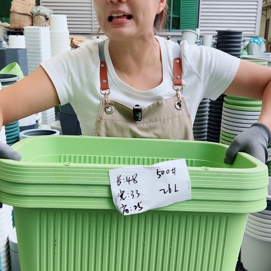 菜盆500#果绿色3个无托