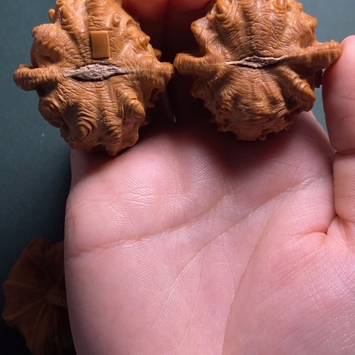 从***大文玩核桃白狮子吞财