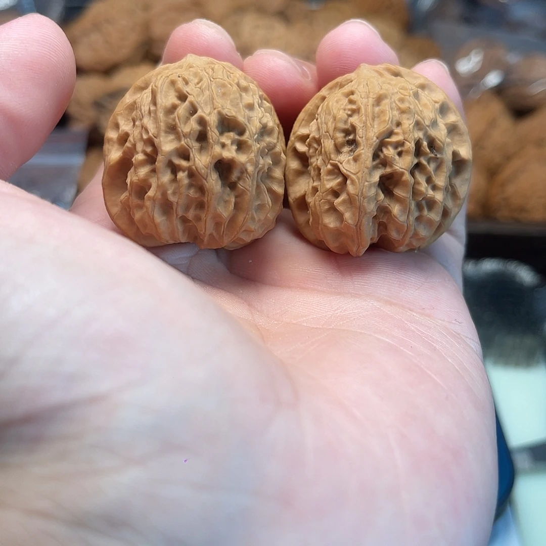 1文玩核桃龙珠33-205