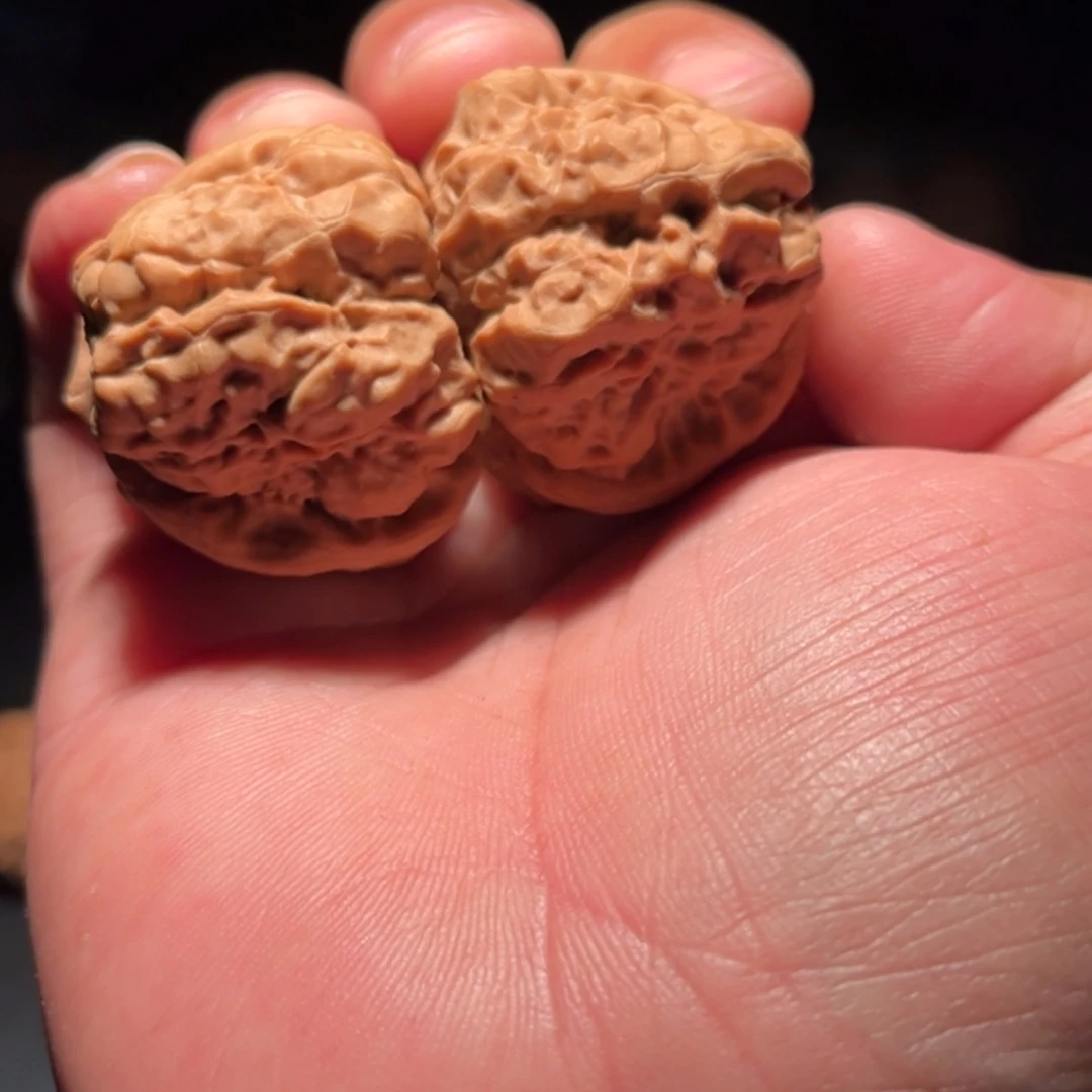 【闪购商品】反***钟文玩核桃木制手把件