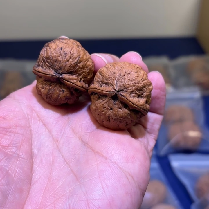 文玩核桃吊坠红河龙珠