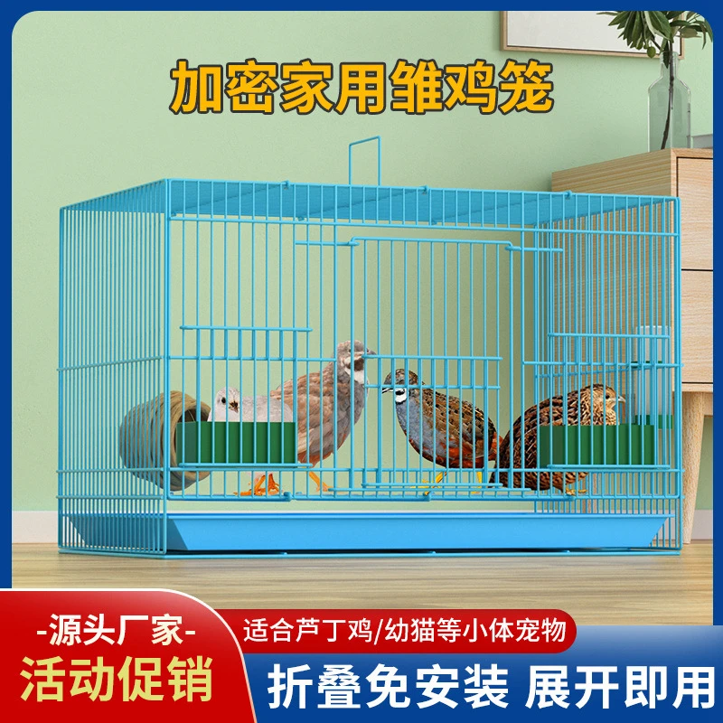 芦丁鸡笼专用笼加密加大空间鹌鹑笼室内家用雏鸡笼小鸡笼柯尔鸭笼