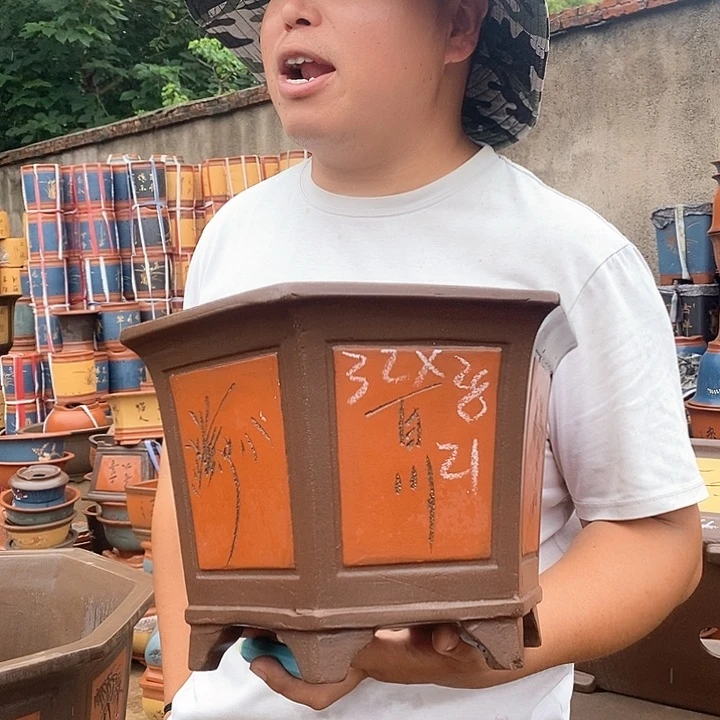 紫砂花盆紫砂花盆盆栽植物观赏