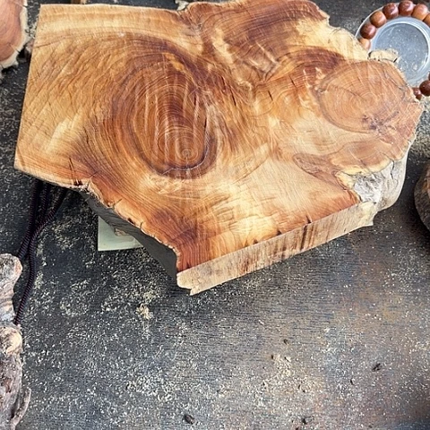 柏木（崖柏）闪购209