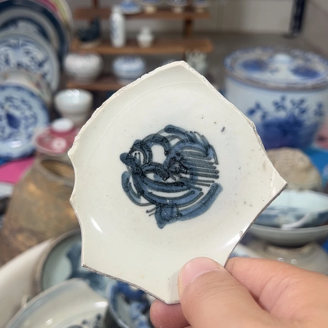 瓷片瓷片标本，全场包邮