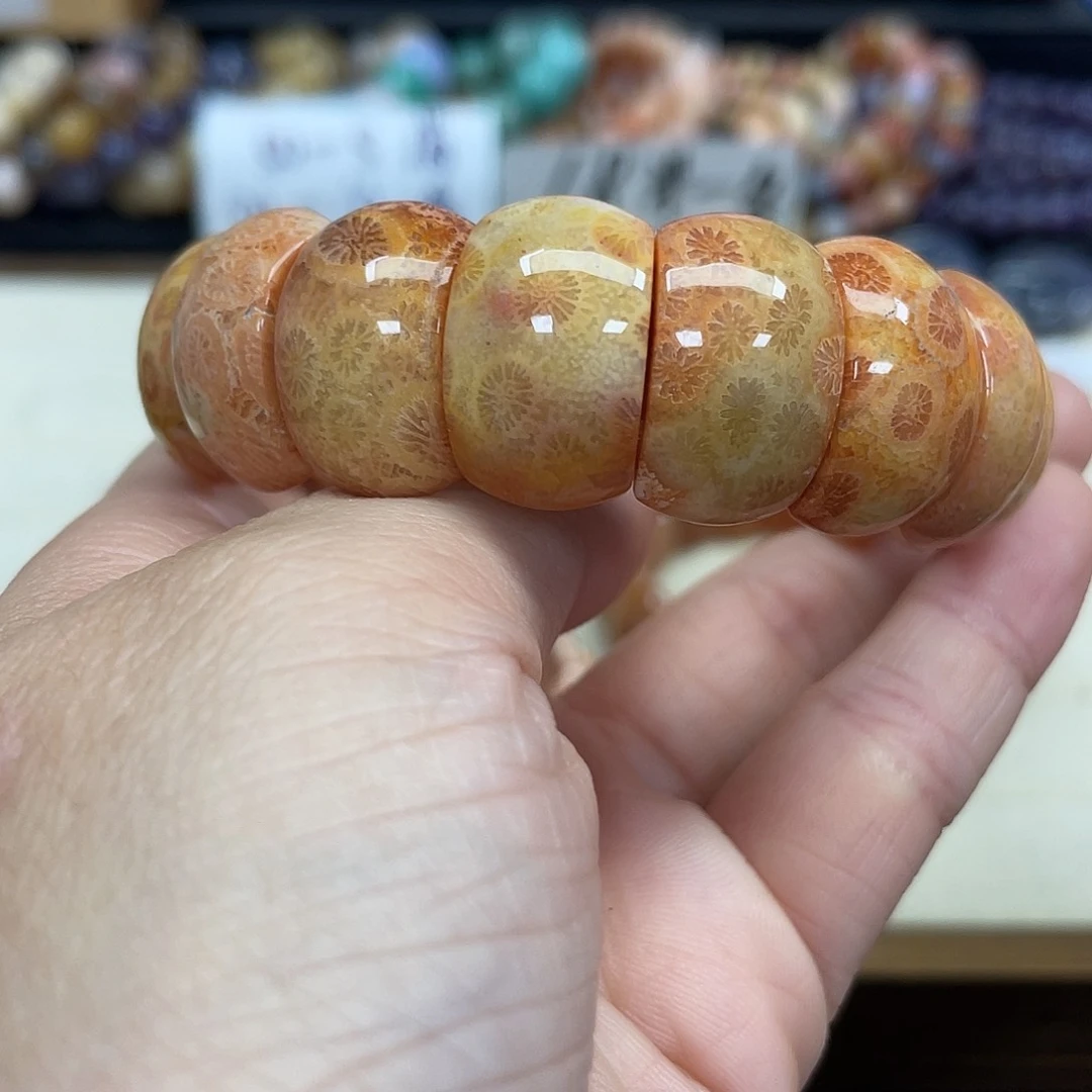 未镶嵌手串硅化珊瑚（珊瑚玉）632