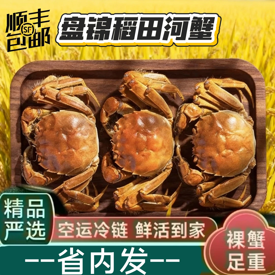省内发 全母蟹【活蟹】盘锦河蟹稻田全母蟹1-1.3两2斤顺丰包邮