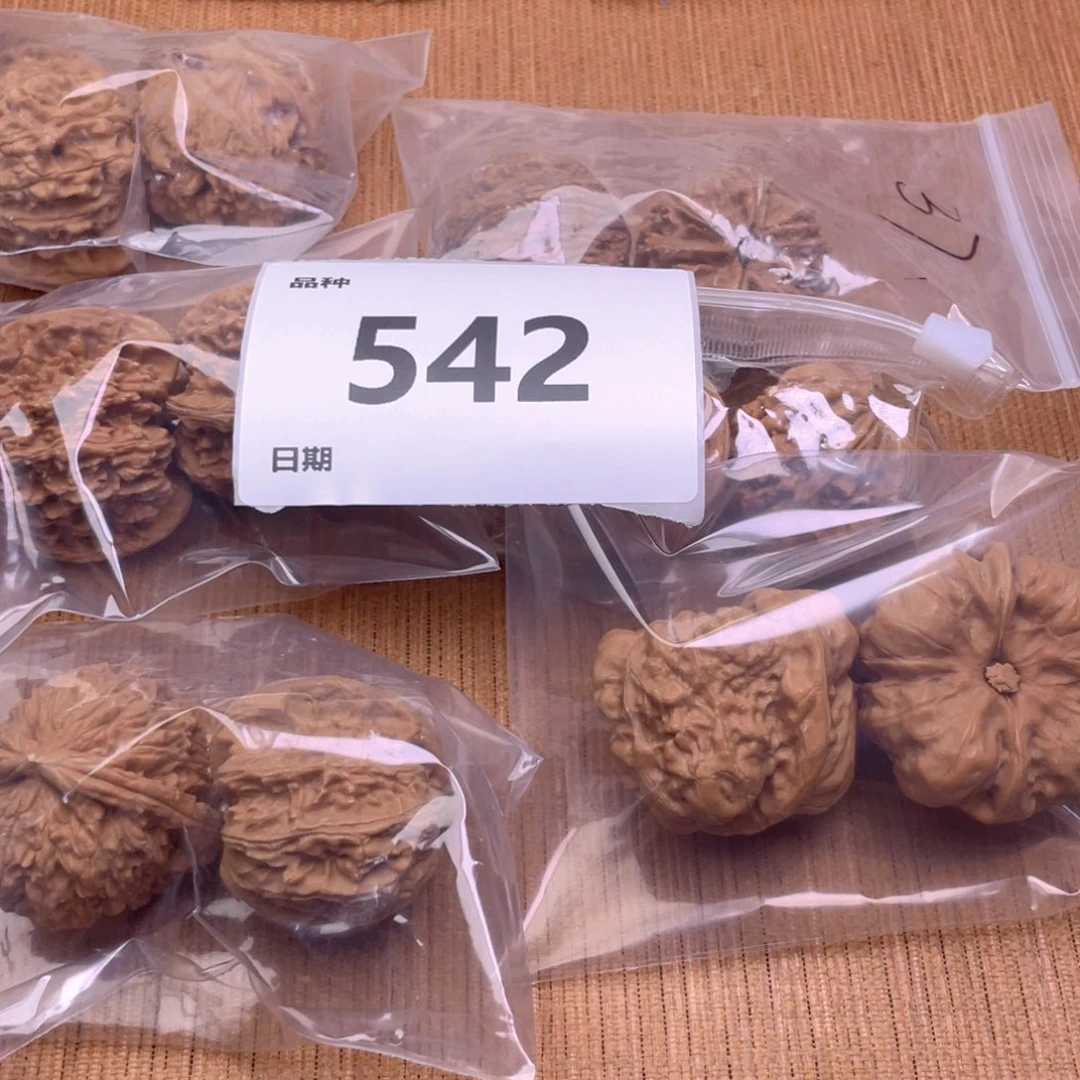 文玩核桃把件542号6对带练手蛙