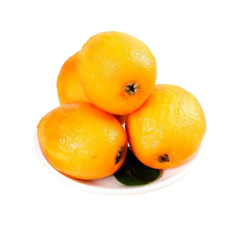 新品 五星枇杷600g