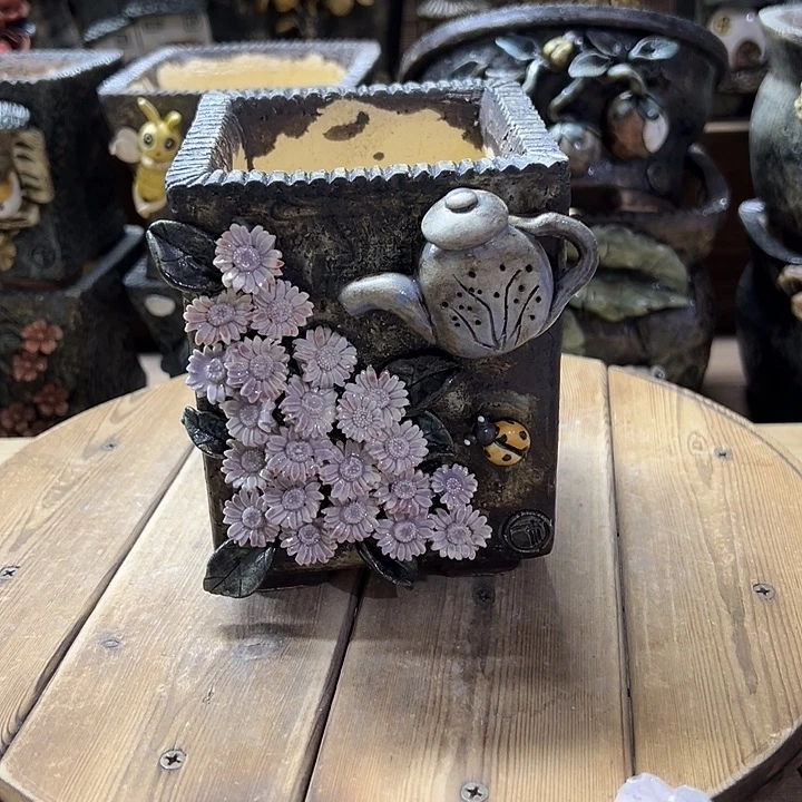 青藤多肉花盆百搭